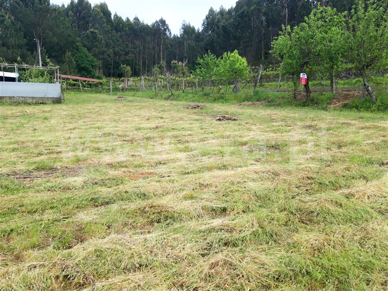 Terreno Misto  Barcelos, Silveiros e Rio Covo (Santa Eulália) - 1085735 - 4