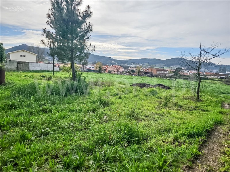 Terreno Misto  Barcelos, Várzea - 1393883 - 2