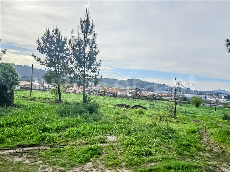 Terreno Misto / Barcelos, Várzea