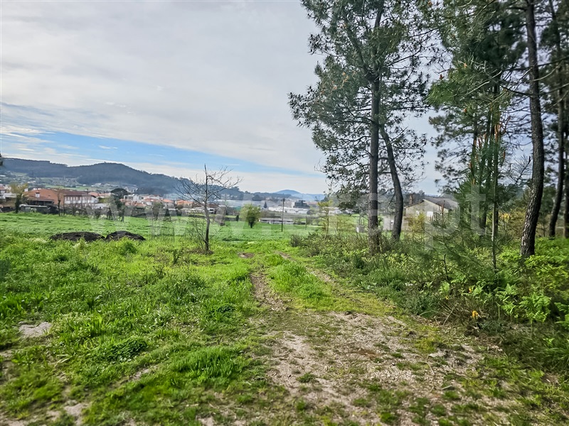 Terreno Misto  Barcelos, Várzea - 1393883 - 4