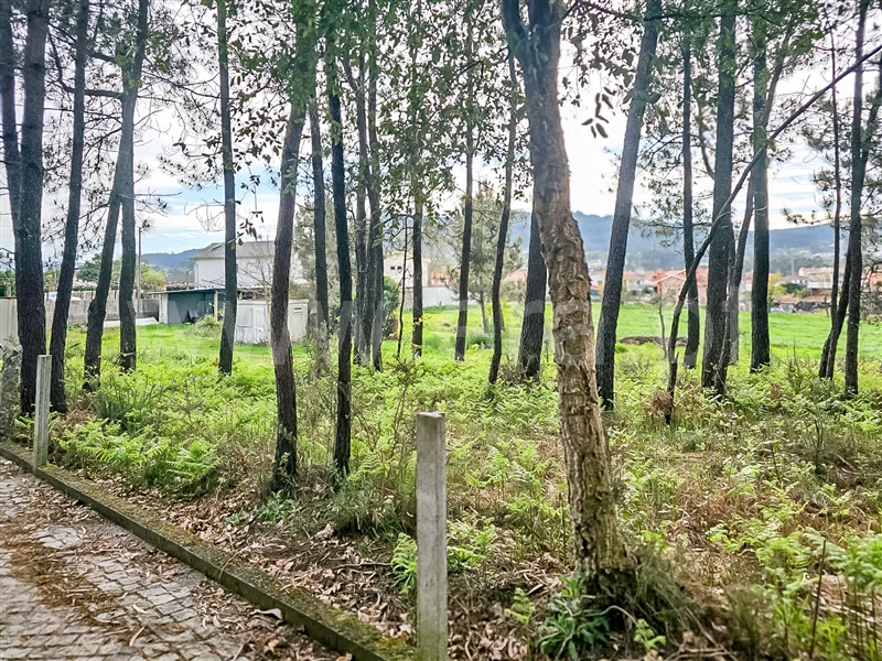 Terreno Misto  Barcelos, Várzea - 1393883 - 5