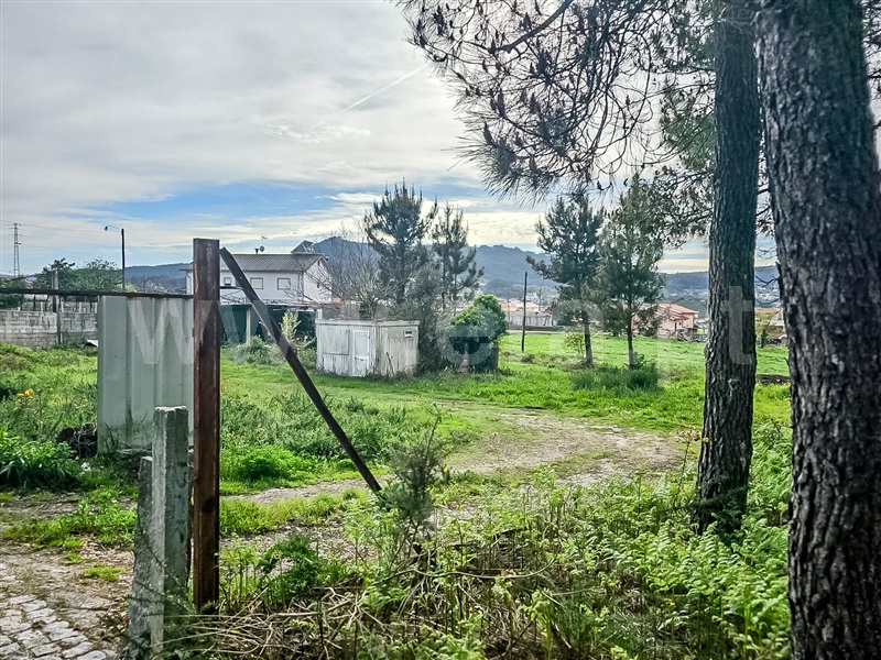 Terreno Misto  Barcelos, Várzea - 1393883 - 6