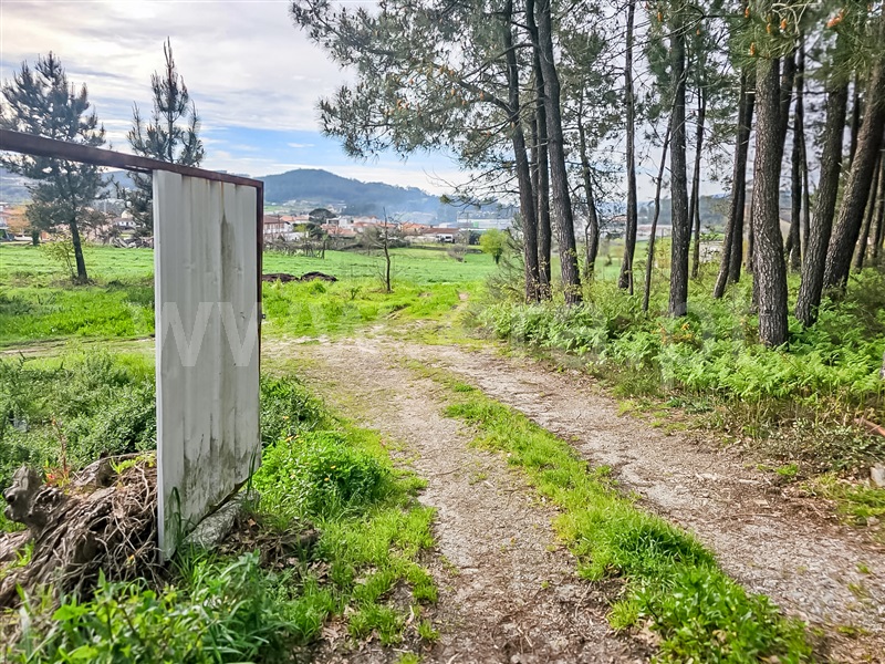 Terreno Misto  Barcelos, Várzea - 1393883 - 7