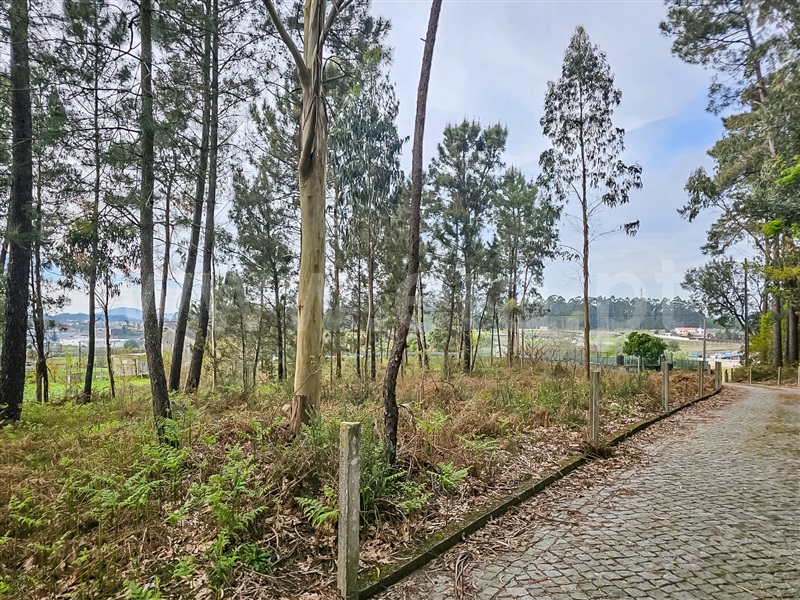 Terreno Misto  Barcelos, Várzea - 1393883 - 8