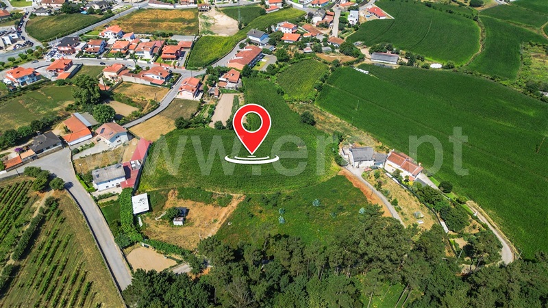 Terreno Misto / Barcelos, Várzea