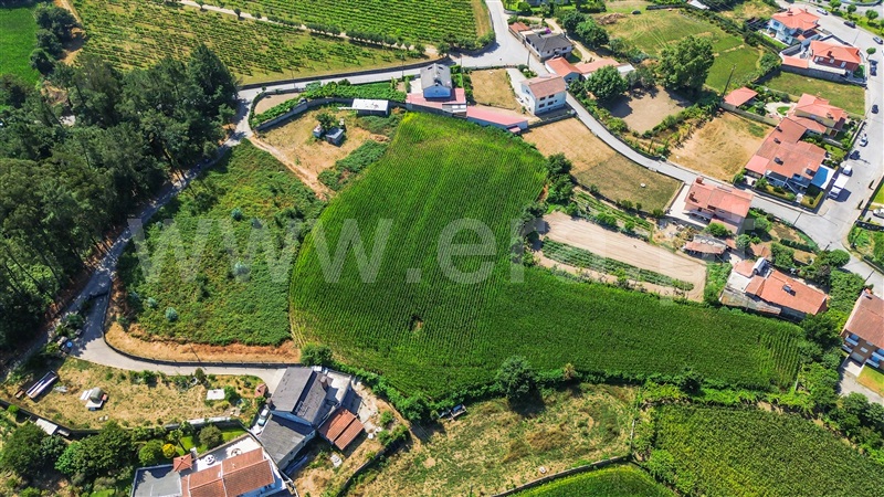 Terreno Misto  Barcelos, Várzea - 1393883 - 12