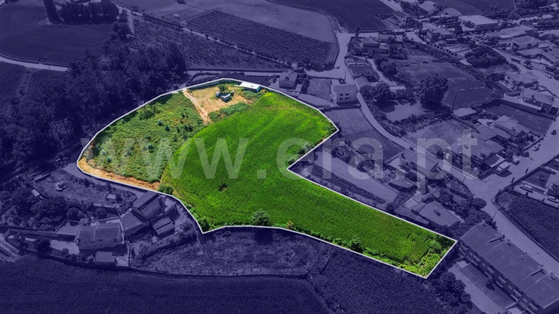 Terreno Misto  Barcelos, Várzea - 1393883 - 13