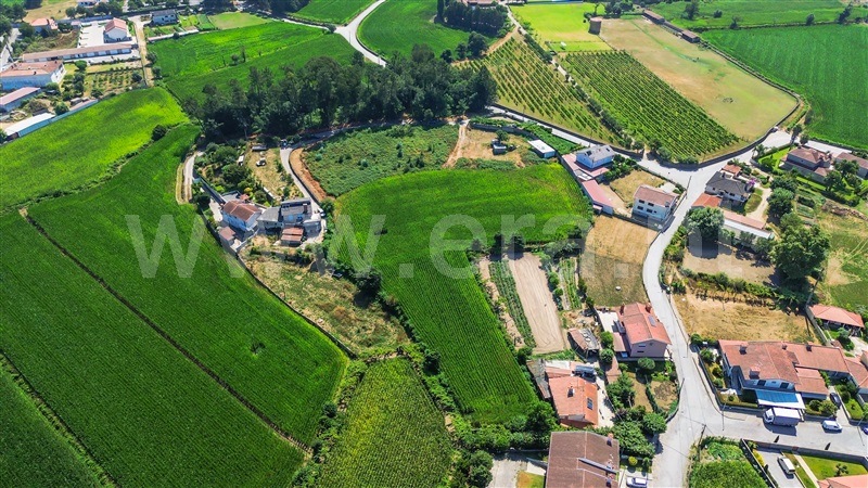 Terreno Misto  Barcelos, Várzea - 1393883 - 14