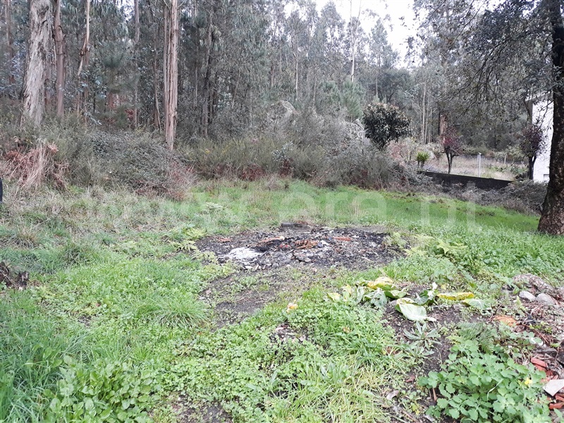 Terreno Misto / Barcelos, Viatodos, Grimancelos, Minhotães e Monte de Fralães