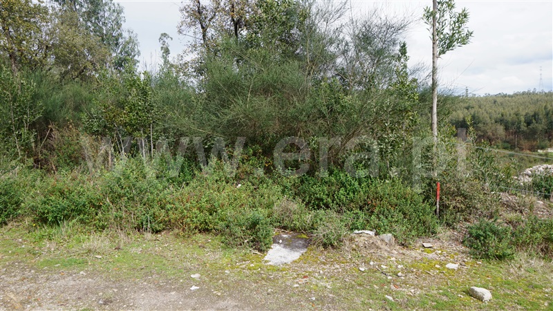 Terreno Misto  Barcelos, Vila Cova e Feitos - 1237575 - 3