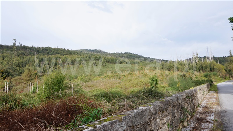 Terreno Misto / Barcelos, Vila Cova e Feitos