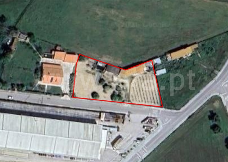 Terreno Misto / Benavente, Benavente