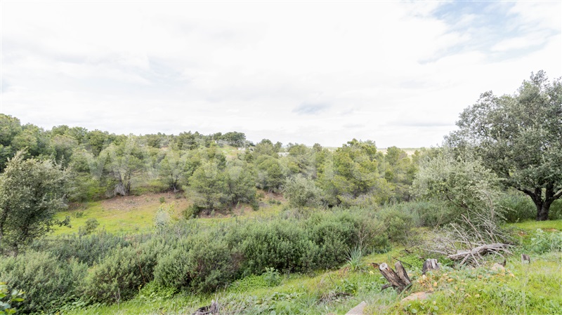 Terreno Misto  Castro Marim, Odeleite - 1146119 - 10