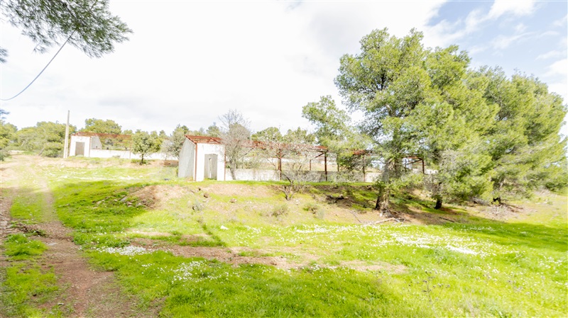 Terreno Misto  Castro Marim, Odeleite - 1146119 - 12