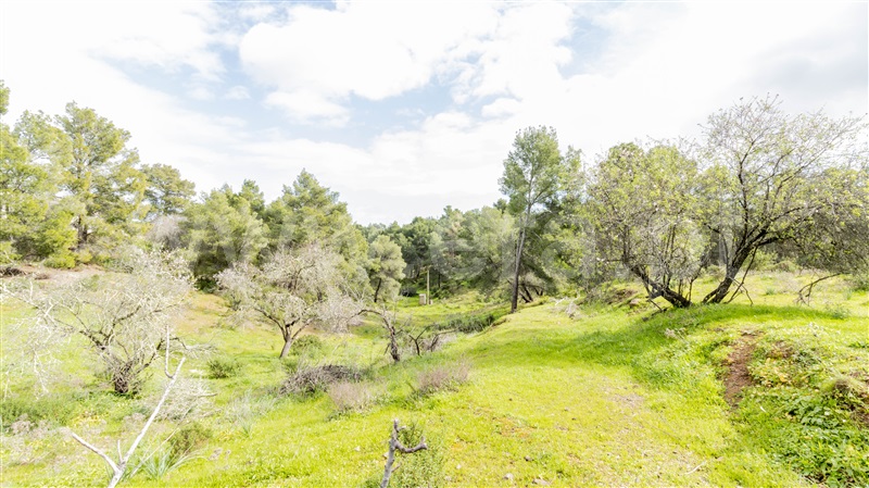 Terreno Misto  Castro Marim, Odeleite - 1146119 - 14