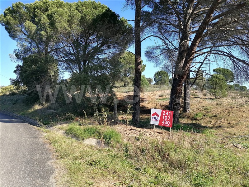Terreno Misto / Constância, Montalvo