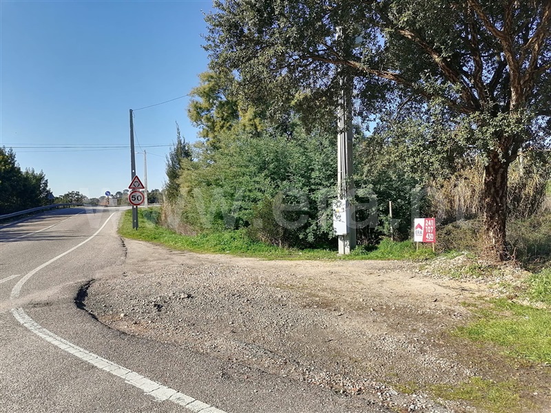Terreno Misto  Constância, Montalvo - 945515 - 4
