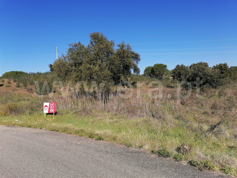 Terreno Misto  Constância, Montalvo - 945515 - 5