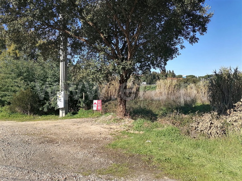 Terreno Misto  Constância, Montalvo - 945515 - 6