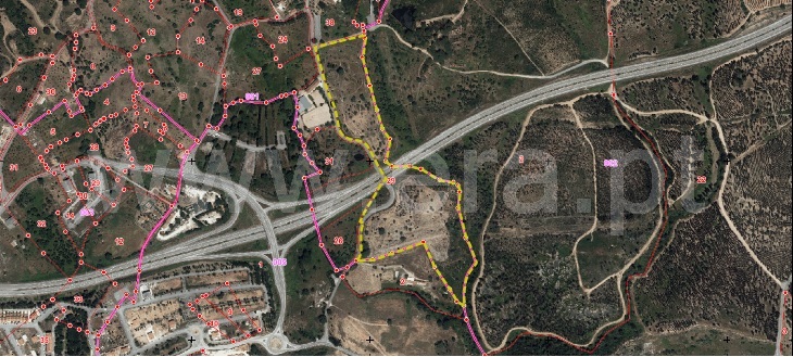Terreno Misto  Constância, Montalvo - 945515 - 6