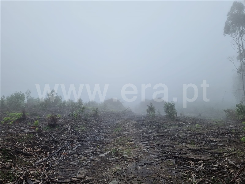 Terreno Misto  Esposende, Vila Chã - 1478534 - 3
