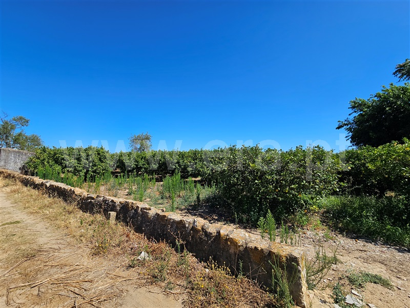 Terreno Misto / Faro, Conceição e Estoi
