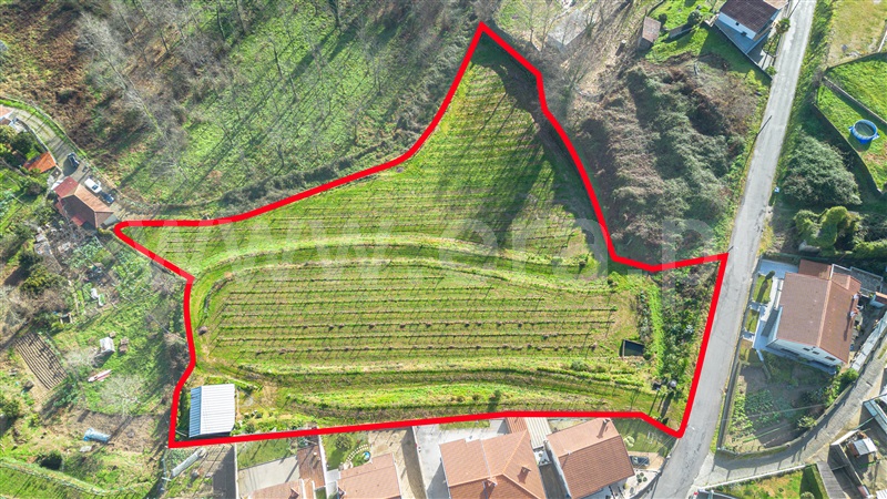 Terreno Misto / Felgueiras, Pombeiro de Ribavizela