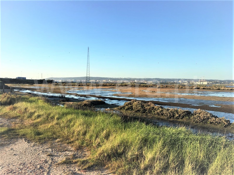 Terreno Misto  Figueira da Foz, Lavos - 1244281 - 1