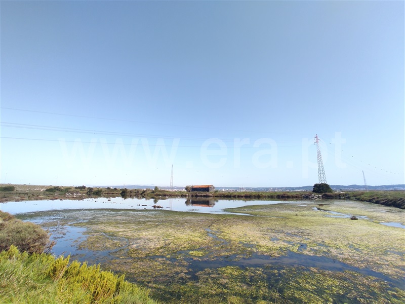 Terreno Misto  Figueira da Foz, Lavos - 1244281 - 20