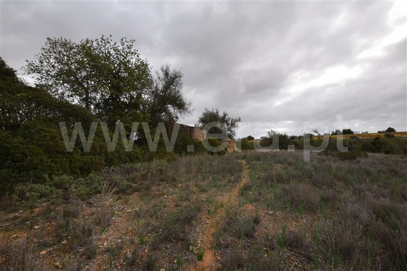 Terreno Misto  Lagoa, Estombar - 1096545 - 2