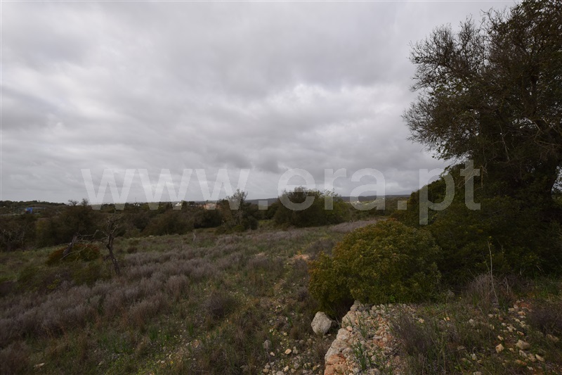 Terreno Misto  Lagoa, Estombar - 1096545 - 4