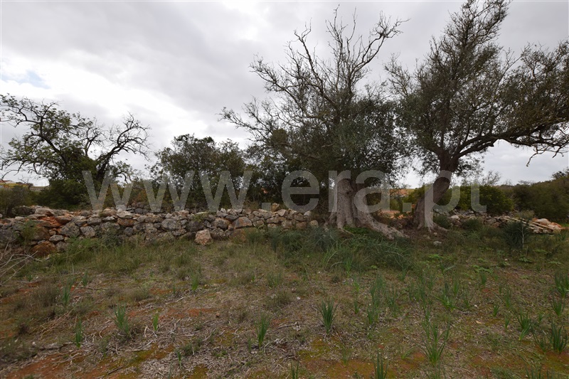Terreno Misto  Lagoa, Estombar - 1096545 - 5