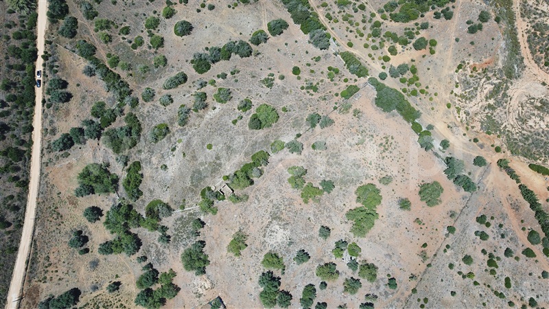 Terreno Misto  Lagoa, Estombar - 1096545 - 6