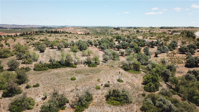 Terreno Misto  Lagoa, Estombar - 1096545 - 9