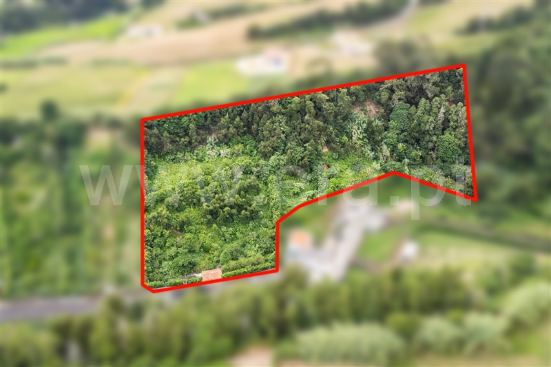 Terreno Misto / Lagoa (São Miguel), Água de Pau