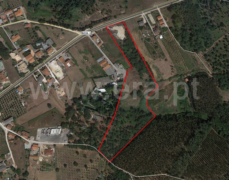 Terreno Misto / Leiria, Maceira