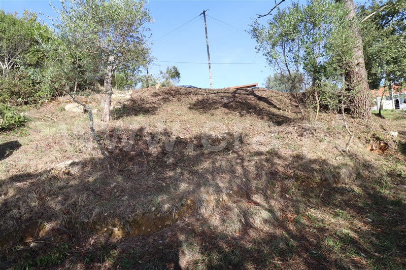 Terreno Misto  Leiria, Santa Catarina da Serra e Chainça - 1205022 - 6