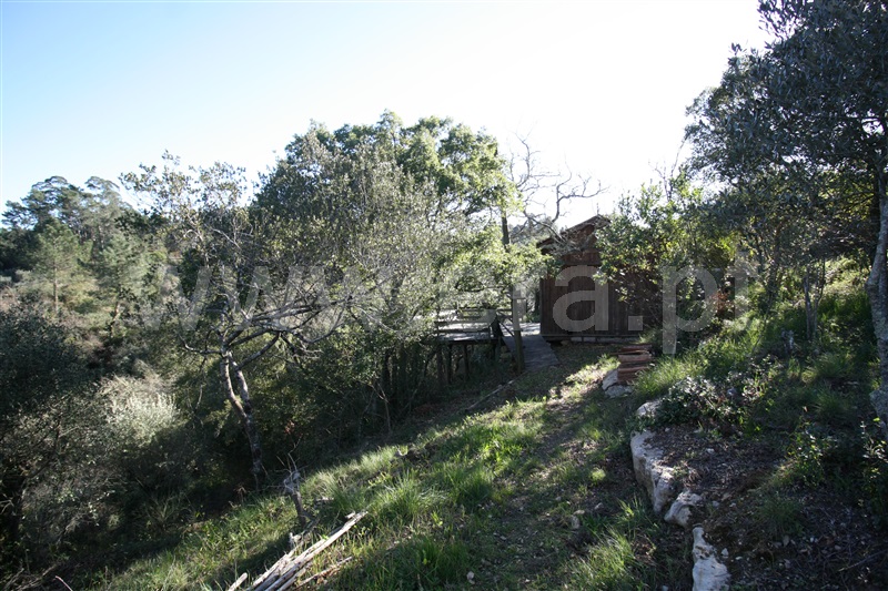 Terreno Misto  Leiria, Santa Catarina da Serra - 1205022 - 10