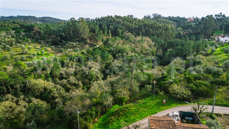 Terreno Misto  Leiria, Santa Catarina da Serra - 1205022 - 7