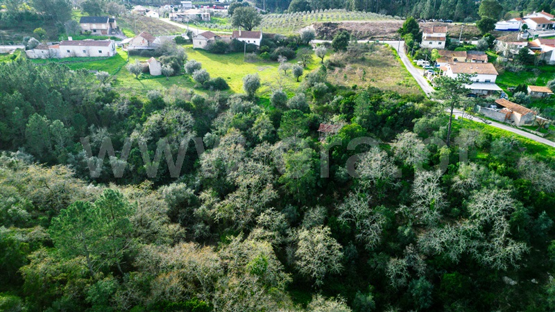 Terreno Misto  Leiria, Santa Catarina da Serra - 1205022 - 8