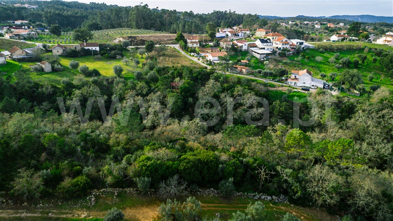 Terreno Misto  Leiria, Santa Catarina da Serra - 1205022 - 9
