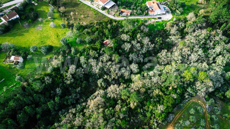 Terreno Misto  Leiria, Santa Catarina da Serra - 1205022 - 10