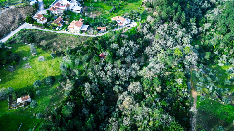 Terreno Misto  Leiria, Santa Catarina da Serra - 1205022 - 11