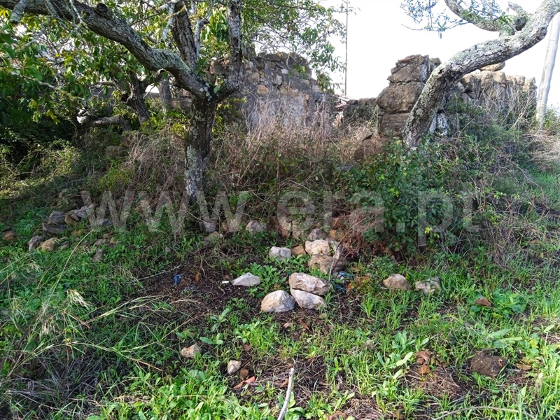 Terreno Misto  Loures, Bucelas - 1357928 - 3
