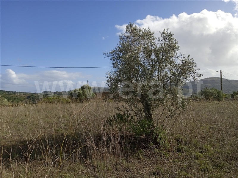 Terreno Misto  Loures, Bucelas - 1357928 - 8