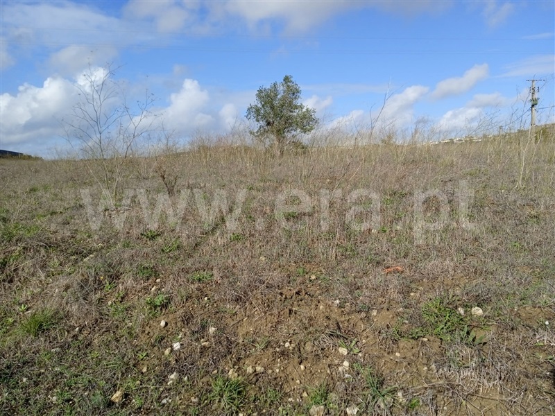 Terreno Misto  Loures, Bucelas - 1357928 - 9