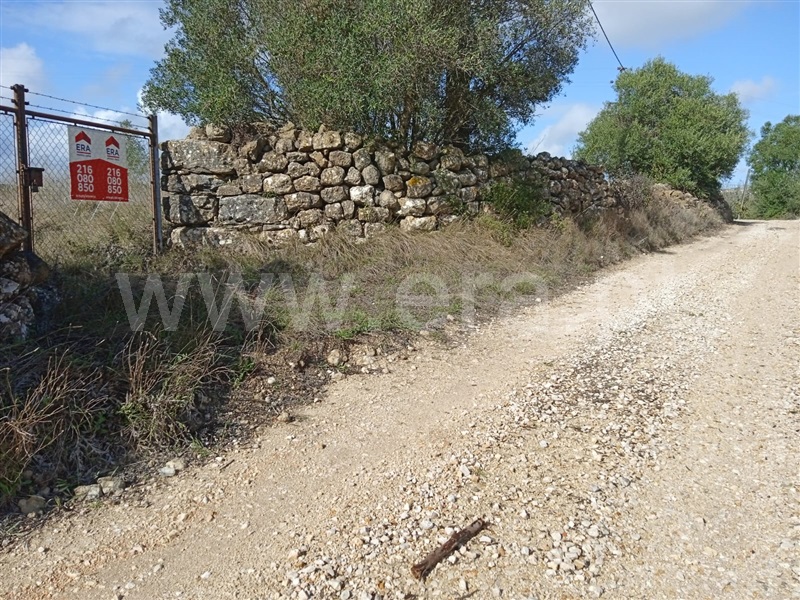 Terreno Misto / Loures, Bucelas