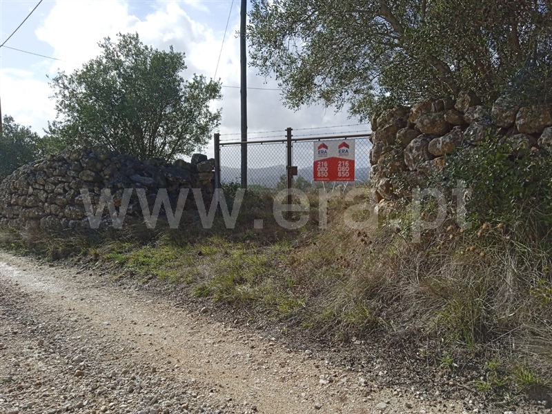 Terreno Misto  Loures, Bucelas - 1357928 - 12