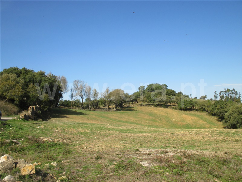 Terreno Misto  Loures, Lousa - 1200514 - 5