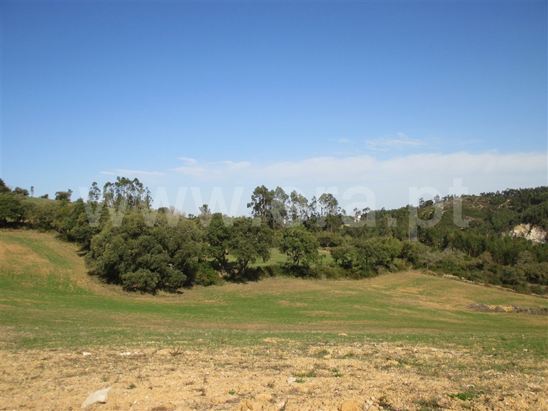 Terreno Misto  Loures, Lousa - 1200514 - 6